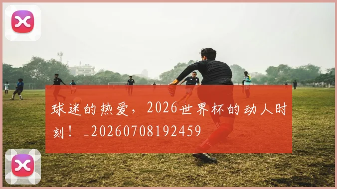 球迷的热爱,2026世界杯的动人时刻!_20260708192459