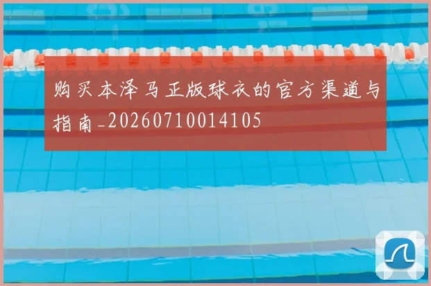 购买本泽马正版球衣的官方渠道与指南_20260710014105